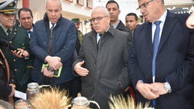 Photo of وزير الفلاحة : الدولة ستواصل دعمها لرفع الفلاحة